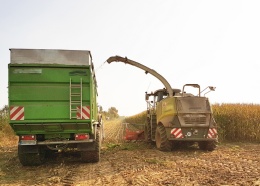 Mais,Grundfutter,Silage,Häckseln