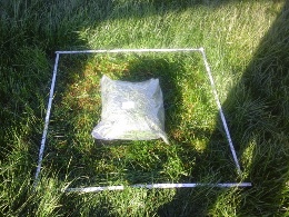 3.Schlievwn 2